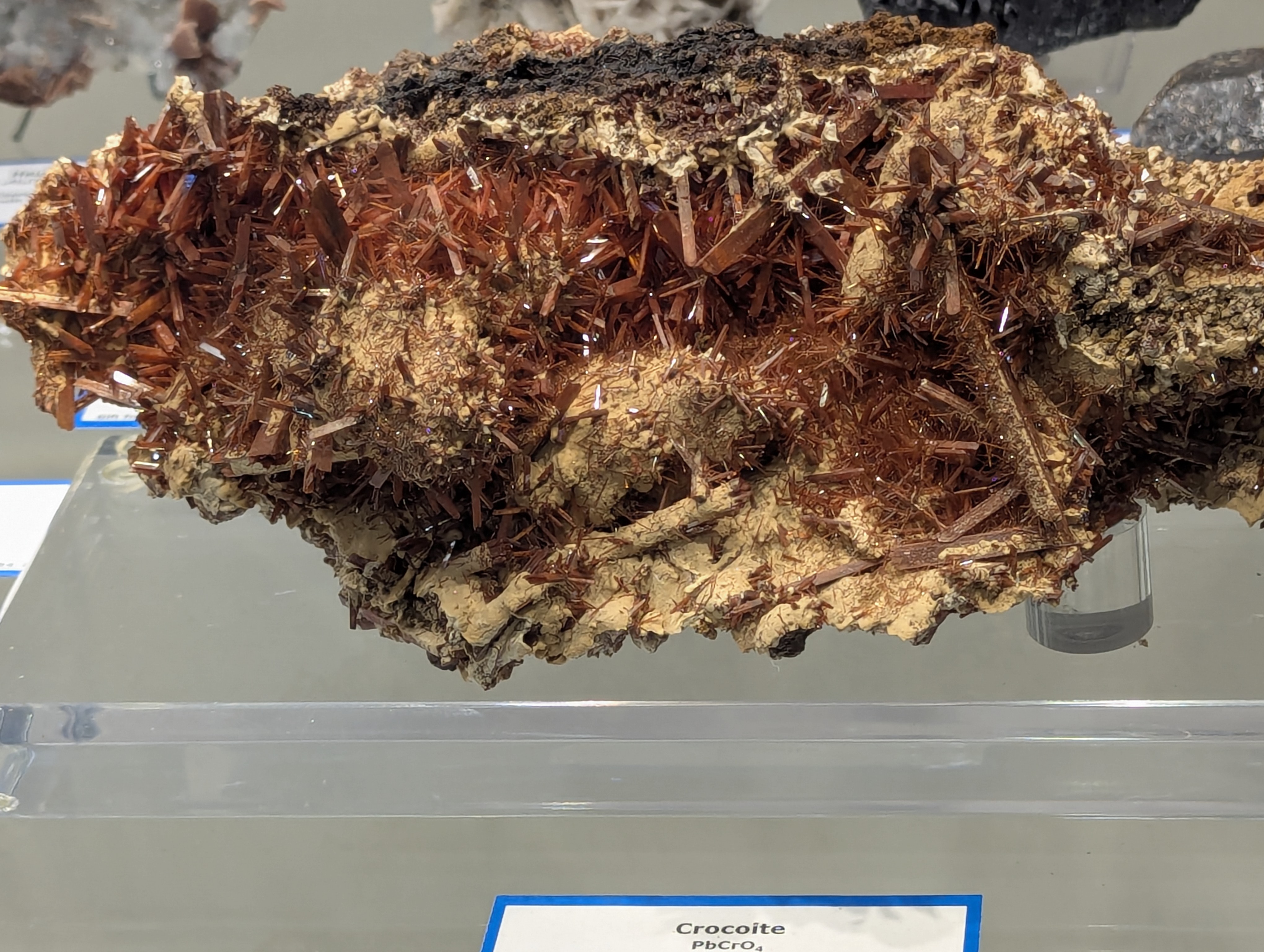 Colorado School of Mines, Geology Museum